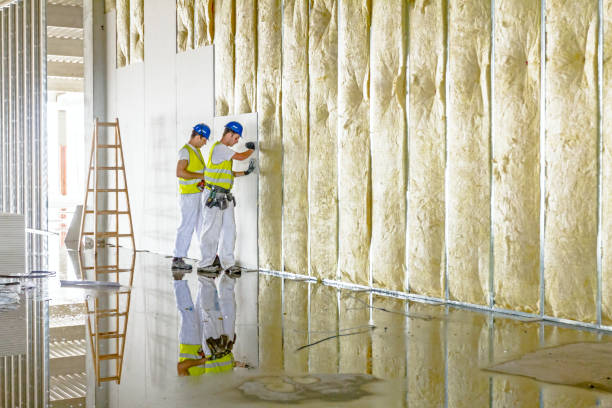 Best Attic Insulation Installation  in Weaver, AL